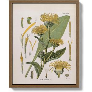 Bzstyleart Framed Vintage Wall Art,Botanical Wall Art Prints for College Dorm Decor,8 x 10 Inch Ferns Botanical Framed Artwork Home Decor,Canvas Picture Print for Living Room Office Dorm Bathroom