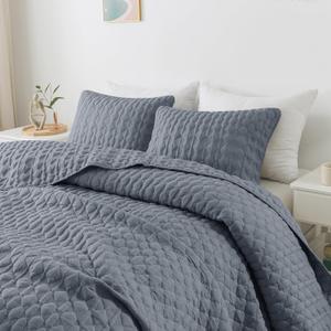 WDCOZY Blue Quilts Queen Size Bedding Sets with 2 Pillow Shams, Lightweight Soft Bedspread Coverlet, Quilted Blanket Thin Comforter Bed Cover for All Season, 3 Pieces, 90x90 inches 