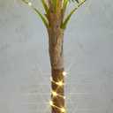 LITBLOOM Artificial Palm Tree with Lights 6FT 220 LED Fairy Lights, Lighted Palm Tree Plug in for Indoor Outside Home Room Patio Pool Decoration