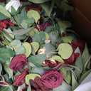 Ling's Moment 41" Tall Fall Free Standing Artificial Flowers Arrangements 2pcs Wedding Arch Altar Stage Decorations Romantic Marsala For Ceremony Reception Rose Floral Party Outdoor Centerpieces Decor