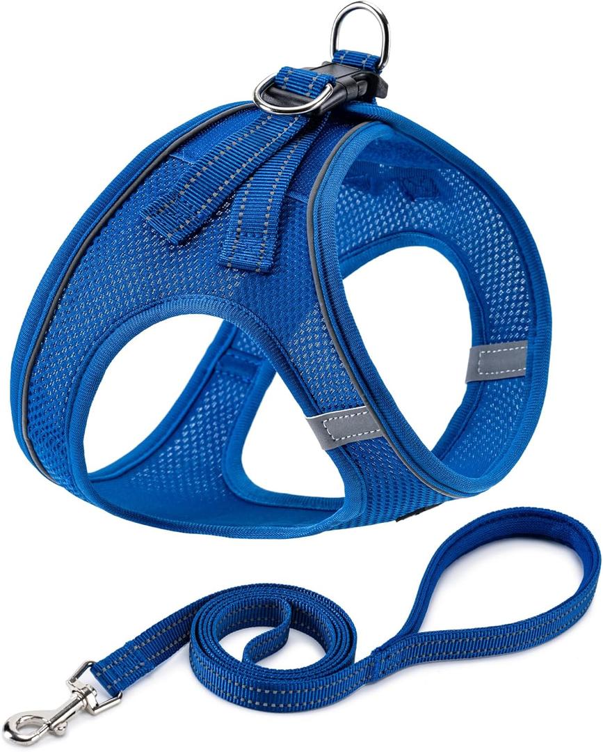 BOOMIBOO Dog Harness with Leash Set, No Pull Adjustable Reflective Step-in Puppy Pet Vest Harnesses for Small Medium Large Dogs and Cats, Blue M