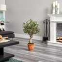Nearly Natural 3ft. Olive Artificial Tree in Terracotta Planter