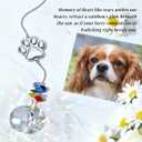Pet Memorial Gift, Unique Sympathy Suncatcher Idea for Pet Loss, Clear Crystal Rainbow Maker, Thoughtful Dogs and Cats Remembrance Bereavement Box