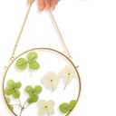 TLBTE 8x8 inch Round Brass Hanging Photo Frame, Double Side Circle Glass Frame for Pressed Flowers, Clear Circular DIY Vintage Artwork Display Picture Frame Wall Mounted