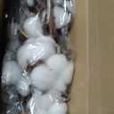idyllic Cotton Stems Decor Branches, Cotton Flowers Plants for Decorations, Dried Flowers for Vase, 6 Pcs-31 Inches Tall - 12 Bolls per Stem