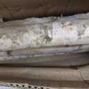 5 Pcs White Birch Poles 4 ft 1.5-2.5" Diameter Natural Wood Sticks