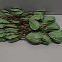 Maysing 20 Pcs Christmas Velvet Poinsettia Flowers Ornaments 6.3Inch Glitter Artificial Magnolia Flower Christmas Tree Ornament with Stem for Xmas Tree Decorations Wedding Decor Suppliy (Forest Green)