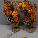 Timer - 2 Pack 18 Inch Lighted Fall Tree Thanksgiving Decorations, Fall Maple Tree with Pumpkins Pinecones 40 LEDs Battery Operated, Artificial Tabletop Trees for Thanksgiving Table Decor Home Indoor