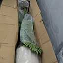 Artificial Palm Tree 7FT with 20 Leaves & White Planter Faux Green Tropical Areca Palm Fake Floor Realistic Plants for Indoor Home Office Porch Mall Hotel Decor Housewarming Gift(7FT, 1Pack)