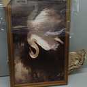 Gold Framed Vintage Wall Art for Room Decor Moody Swan Wall Decor Gothic Swan Animal Canvas Prints Painting for Living Kitchen Bathroom Bedroom Desktop Artwork 16x24 Inch