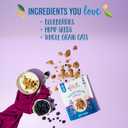 3 x Oatsome Blueberry Protein Granola, 10g Protein, Gluten Free, Made with Whole Grain Organic Oats, Real Blueberries, & Hemp Seeds, for Protein Snacks Cereals Breakfast Yogurt, 10 Oz Bag