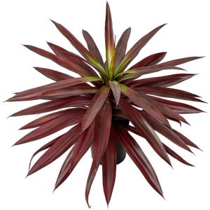 Briful Large Fake Agave Plant 17.3 Inch Red Artificial Yucca Potted Plants Outdoor Faux Agave Plants for Home Room Office Garden Front Porch Patio Decoration