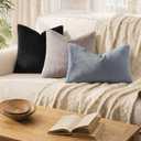 Pallene Faux Fur Plush Throw Pillow Covers 18x18 Set of 2, Luxury Soft Fluffy Cozy Decorative Pillow Covers for Sofa, Couch, Living Room, Black