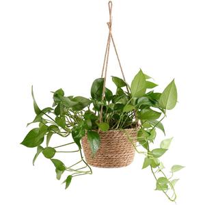 WYSRJ 8inch Jute Rope Hanging Planter Woven Plant Basket Macrame Plant Hangers Plant Holder Basket Decorative Storage Baskets for Plants Pots Home Decor