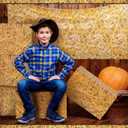 Outus Hay Bale Decoration 6 Pack Western Cowboy Party Decorations Hay Bale Box 3 Pack Straw Tablecloths Farm Theme Party Photo Props Rustic Farmhouse Cowboy Supplies