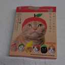 Cat Puppy Funny Fruit Hat Cute Cat Accessories Orange Watermelon Apple Design Cosplay Clothes Party Wear for Kitten Small Dog (Melon)
