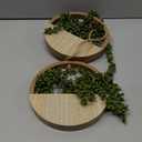 Floweroyal 2pcs Artificial Succulents Hanging Plants 12.2'' Fake String of Pearls in Pot with 8.3'' Lanyard for Indoor Outdoor Wall Decor Wood Color.