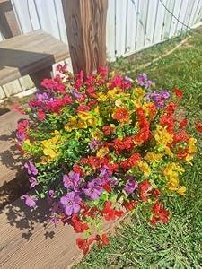 Lamsze Faux Flower Daisy with Eucalyptus Leaves Fake Plants Greenery Boxwood Outdoor Indoor Garden Home Decoration Porch Patio (Mix)