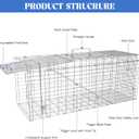 Humane Live Animal Trap, Heavy Duty Folding Raccoon Traps Cage for Cat, Squirrel, Skunk, Raccoon, Fox Catch and Release Large Size 31.1 * 11 * 12.6 Inch