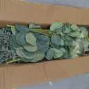 lovemoon 130 Pcs Artificial Mixed Eucalyptus Stems Bulk, 5 Kinds of Faux Greenery Eucalyptus Leaves Bulk for Vase Wedding DIY Bouquets Floral Arrangement Home Decor (130, Green)