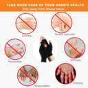 5 Pairs Arthritis Gloves for Women and Men, Pain Relief Compression Gloves Women,Fingerless Breathable Design (Black, XL)