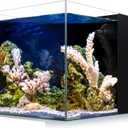 Coralland 8-Gallon Saltwater Aquarium - Ultra Clear Low Iron Glass, 45 Angled Joint Design, Crystal Clear Viewing, Perfect for Marine Fish & Reef Tanks & Freshwater