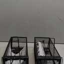 2-Pack Rat Traps Humane Live Mouse Vole Chipmunk Trap Cage for Indoors and Outdoors (Black)