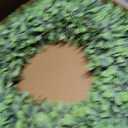 24 Inch Artificial Boxwood Wreath Spring Summer Wreath Faux Greenery Wreaths for Front Door Outside Wall Window Porch Farmhouse Garden Wedding Party Home Decor