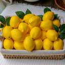 20Pcs Fake Lemons Artificial Fruits with 25 Leaves Faux Yellow Lifelike Plastic Lemon Decorations Realistic Limes Fruit Decor for Home Kitchen Table Cabinet Holiday Party Photography Props