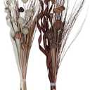 Deco 79 Dried Plant Foliage Home Decor Natural Foliage Natural Dried Foliage, set of 2 Foliage for Decoration 15" x 15" x 46", Brown