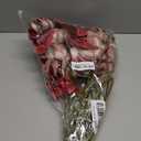 FagusHome 32 Inch Artificial Phalaenopsis Flowers 6 Pcs Artificial Orchid Flowers Stem Plants for Home Dcor (Red)