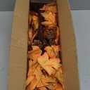 CKE 2 Pcs 24 Inch Artificial Fall Tree Lighted Maple Tree Battery USB Operated w/Timer, 24 LED Thanksgiving Decorations Table Lights Tree for Autumn Wedding Party Gift Indoor Outdoor Harvest Home Deco