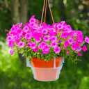 Adnee 15 Pcs 6 Inch Hanging Plant Water Catcher-Clear Plastics Plant Water Catcher Tray-Hanging Plant Saucers Drip Pans for Indoor Outdoor Hanging Basket Flower Pot