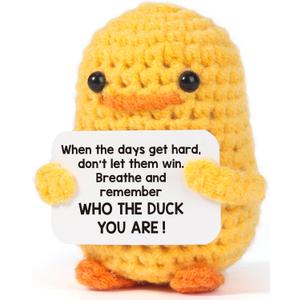 MBL Christmas Stocking Stuffers for Women - Emotional Positive Inspirational Support Small Funny Gag Crochet Duck Pickle Birthday Xmas for Men for Coworker Boss Colleges Her Him Friend