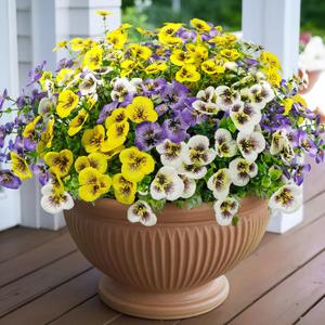 16 Bundles Artificial Fake Pansies Flowers for Outdoors Silk Colorful Pansy UV Resistant Faux Plastic Plants for Outside Planter Front Door Porch Yard Patio Garden Decor (Yellow Purple White)