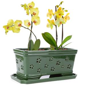 Green Ceramic Orchid Planter Pots with Holes and Saucers - 10x4.3x4.3Inch Breathable Slotted Orchid Pots for Gardening and Repotting
