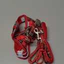 GAMUDA Small Dog Harness Collar and Leash Set, Step in No Chock No Pull Soft Mesh Adjustable Dog Vest Harnesses Plaid Reflective for Dogs Puppy Cats Kitten Rabbit (Red, XS)