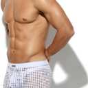 Arjen Kroos Men's Sexy Trunks Sheer Mesh Underwear Novelty Low Rise Lingerie (White, L)