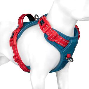 PHOEPET No Pull Dog Harness, Unique Colors Reflective Adjustable Dog Vest, with Soft Training Handle Metal Clips for  Dogs (Teal Base & Red Straps,L)