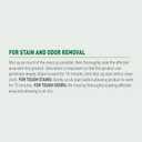 Natures Miracle Urine Destroyer Plus Cat, 32 Ounces,Unscented, Enzymatic Formula, Ready-to-Use (32 Fl Oz (Pack of 1))