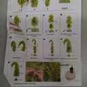 Seenelling Bendable Christmas Tree Whimsical Christmas Pre-Lit Lime Green Stole Bent Top Artificial Xmas Tree Decorations with LED Lights Ornament Bag(7.5ft)