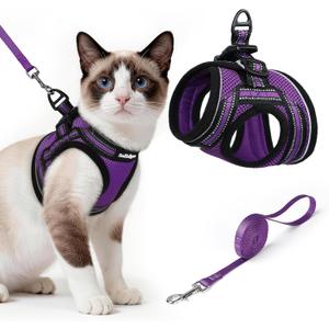 rabbitgoo Cat Harness and Leash Set for Walking Escape Proof, Adjustable Soft Kittens Vest with Reflective Strip for Cats, Comfortable Outdoor Vest, Purple, L