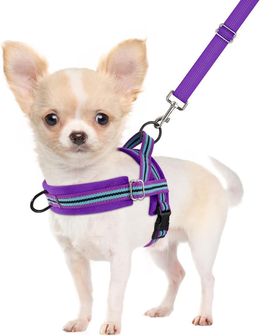 SlowTon No Pull Small Dog Harness and Leash Set, Puppy Soft Vest Harness Neck & Chest Adjustable, Reflective Lightweight Harness & Anti-Twist Pet Lead Combo for Dogs (PU-Front Clip, XS)