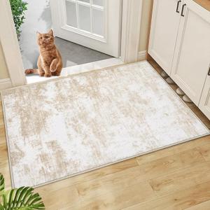 Area Rug Washable Rug 2x3: Entryway Rug Small Modern Abstract Rug Anti-Slip Backing Doormat Stain Resistant Soft Indoor Carpet for Bedroom Kitchen Bathroom Hallway(Beige,2'x3')