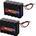 Tenergy 2 Pack 12V 2000mAh Battery Packs RC Battery w/Bare Leads for RC Airplanes, RC Car, DIY and More