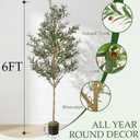 Olive Trees Artificial Indoor, 6FT Tall Faux Olive Tree with Black Pot, Moss, Lifelike Wood Trunk and Fruits,Suitable for for Modern Home Office House Living Room Decor