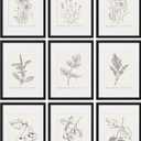 eletecpro 12x16 Picture Frames Set of 9, Classic Gallery Wall Frame Set Displays 8.5x11 Photos with Mat or 12x16 without Mat, Photo Frames Collage Wall Decor, Poster Display for Home Decor, Black