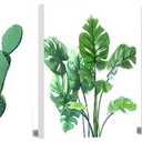 ZHIYANGY Botanical Wall Art, Bathroom Decor Wall Art, Green Succulent Cactus Paintings Leaves Wall Pictures Artwork for Living Room Bathroom Offices Framed Wall Painting for Dining Room