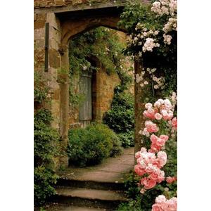 AOFOTO 8x10ft Vintage Garden Flowers Backdrop Blossoms Photography Background Medieval Castle Shabby Brick House Girl Adult Artistic Portrait Travel Photo Shoot Studio Props Video Drop Wallpaper Drape