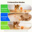 Invengo Interactive Dog Ball, Automatic Rolling Dog Toys with 3 Play Modes, E-TPU Material Dog Balls, IP65 Waterproof Interactive Dog Toys for Medium Dogs(Orange)